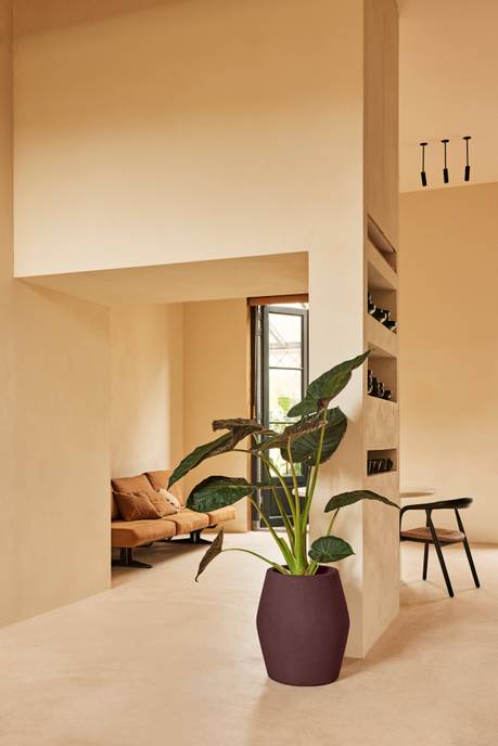 june split high 46cm vintage pruim